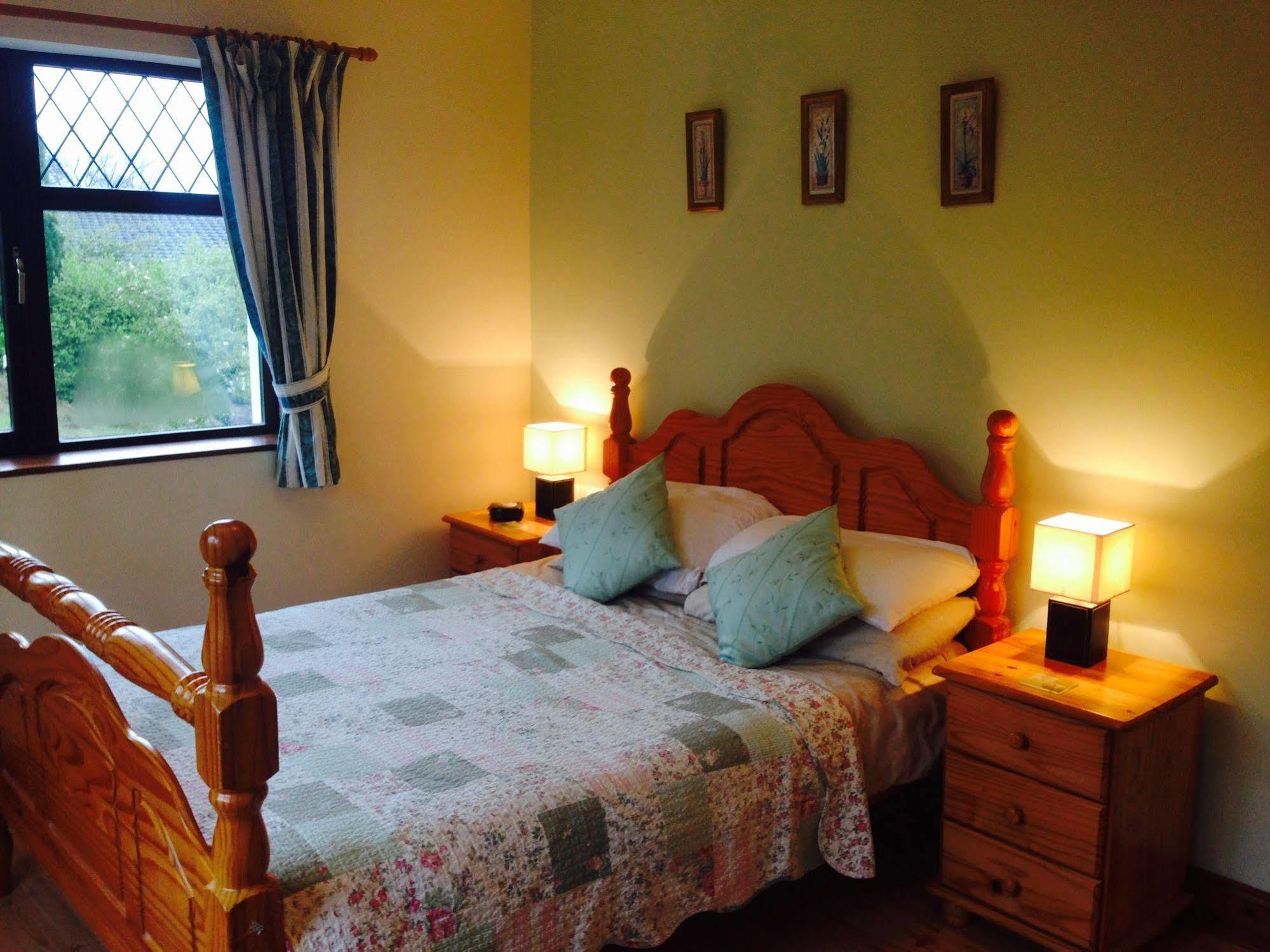 Davmar House Blarney Konuk evi Cork Dış mekan fotoğraf